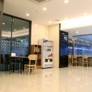 키즈돌핀 이미지