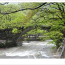 홍교수산 이미지