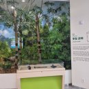 광주 신창동 유적 이미지