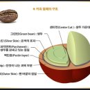 커피체리 이미지