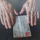 제주서사 이미지