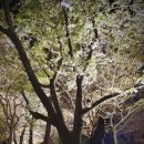 동궁무인텔 이미지