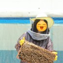 파주양봉영농조합법인 이미지