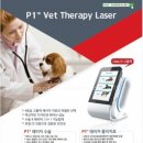 골드퍼피동물병원 공릉점 이미지