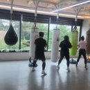 복싱 그 자체 이미지