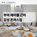 부여 해아뜰 근처 돈까스 맛집, 예약 필수였던 소담돈까스 후기