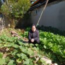 대성이용소 이미지