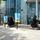 올캣코리아 | [서울 FCI 국제 도그쇼 &amp; 올캣 페스티벌(캣쇼)] 도그쇼와 TICA 캣쇼 1日