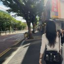 [Lemaire] 르메르 기어백 미디움 내돈내산 후기 : 1년 사계절 20가지 코디로 보는 찐 활용도 (착샷 위주)
