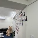 물고기 배경에서 찰칵📸 부산 전포 도마도스튜디오 셀프사진 후기💛