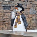 [플로리다/올랜도] 유니버셜 스튜디오 2일차 : 아일랜드 오브 오드벤쳐 Islands of Adventure