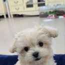 탄현지하차도 방면 이미지