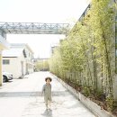 뜰과숲 이미지