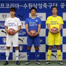 블루셀 이미지