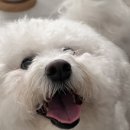 우다다 유치원 이미지