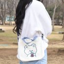 다올 이미지