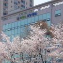 카리스요양병원 이미지