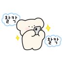 쌉쌀싸롱 이미지