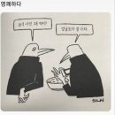 명쾌하다.jpg 이미지