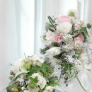 릴리플라워 이미지