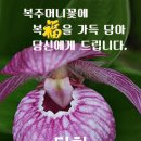 인생의 길동무 이미지