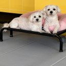 인생개획 네이버블로그