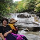 산골약초
