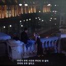 오늘DOG예쁨 | 오스트리아/헝가리 여행 DAY 3 - 비엔나 시내 관광, 빈 시청 필름 페스티벌