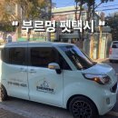 멍택시 이미지