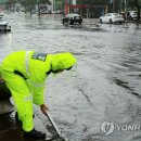 제주바바 이미지