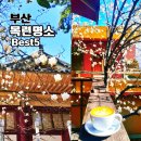 하늘도시 1호 체육공원 농구장 | 부산 목련 개화 시기 정보 및 봄여행 가볼만한곳 명소 Best5