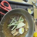 유천냉면 티스토리