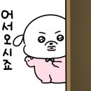 올래분식 이미지