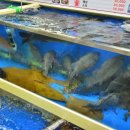 우와호와성 이미지