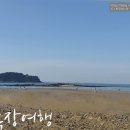 무창포막회 이미지