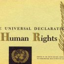 [영어 잘하는 비법 11] 세계인권선언(世界人權宣言, Universal Declaration of Human Rights) 이미지
