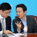 김세연 카카오 검색결과