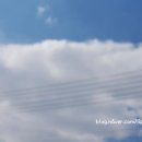 유가원설렁탕 이미지