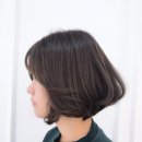 비비드헤어 이미지