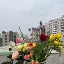 팜팜스토어 이미지