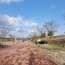 화강 수변 오토 캠핑장 이미지