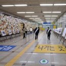 4.19 민주혁명회 이미지