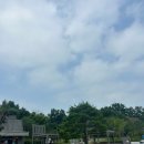 [당진영덕 고속도로 휴게소] 의성휴게소 음식 메뉴 전기차 충전소