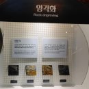 울산암각화박물관 이미지