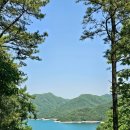 충주 심항산유아숲체험원 종댕이길 출렁다리