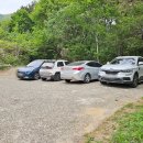 1354 | 경남 아기랑 갈만한곳 마산 꿈틀그린 배롱나무석