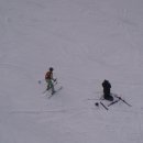 양지파인리조트 이미지