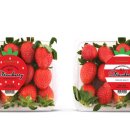 (주)위드공감 이미지