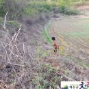 두란농장 이미지