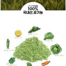 암환자 야채가루 산마을 간편톡 야채톡 야채수 녹즙 대체식품